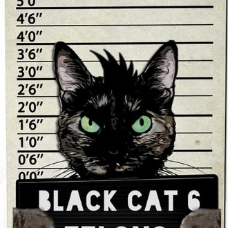 Black Cat 6, Felons, BandCamp Store, Lucciano, Neil Citron, Rudy Sarzo, Feline Music