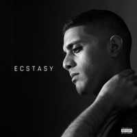 Ecstasy (Extended) by Aamir