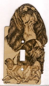 Switch Plate - ETS