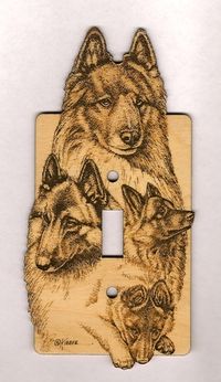 Switch Plate - Belgian Tervuren