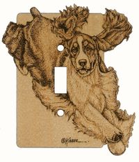 Switch Plate 2 - ESS