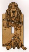 Switch Plate - B&TC