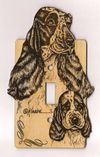 Switch Plate - EC