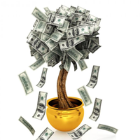 50/50 Raffle Pot