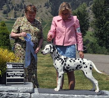 Canadian CH Cristabo Mistletoe Kiss owned by Charlene Maines
