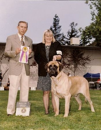 Ch.Lamars Class "C" Winnebago Sire Ch.Lamars JJ Wilder
