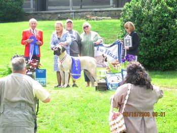 "STAR" Winners bitch 2009 MCOA Specialty How proud are we? VERY !!!!!!! Handled by Kelly Hackler
