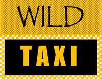 WILD TAXI  - Tribute to Yusuf/Cat Stevens and Harry Chapin - SOLD OUT!!
