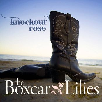 Boxcar Lilies: Knockout Rose
