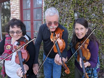 A trio of San Francisco Scottish fiddlers will be joined by nearly 100 of their colleagues for a series of three concerts coming up in May. Credit: Emily Parsons
