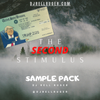 THE SECOND STIMULUS