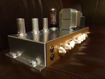 2 x 6CA7 power tubes and GZ34 rectifier

