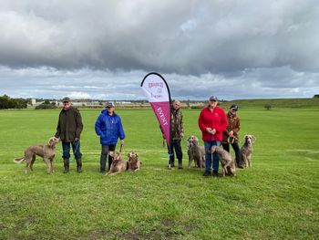 A few of the Weimaraners that enjoyed the day
