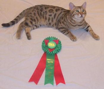 Storm with his "champion" rosette at 8 months old
