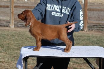 White girl at 8 wks.
