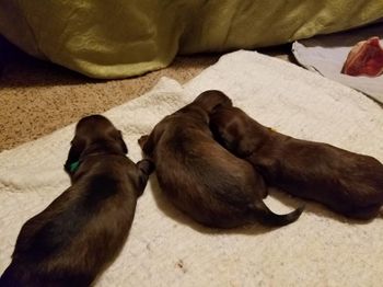 I put them on the floor to make them start to crawl - it was so cute to watch.
