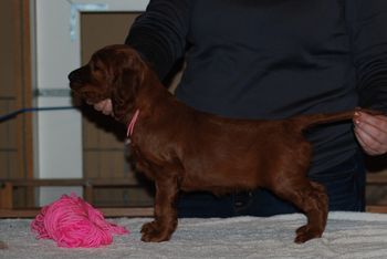 Pink girl at 6 weeks.
