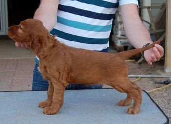 White girl at 6 wks old.
