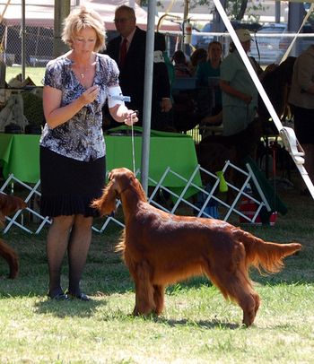 Rio being shown at the national. 2011
