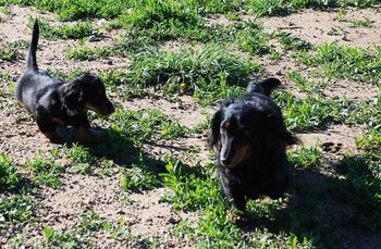 Caper meets her dad Howie for the first time.
