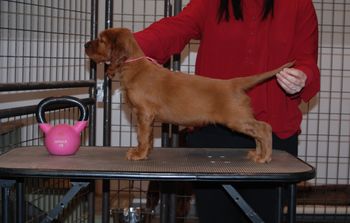 Pink girl at 6.5 weeks old.
