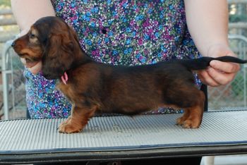 Pink girl at 7 weeks.
