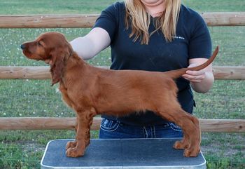 Greem boy at 7 1/2 wks old.
