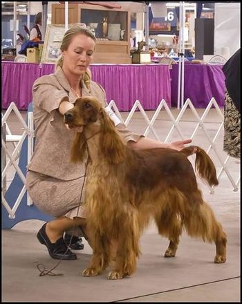 Katie and I in the show ring at the Denver show in February 2008.
