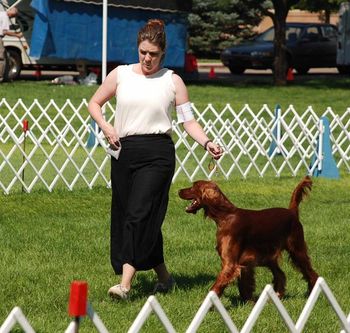 Debbie and Indy in the ring at the Greeley shows.  Aug. 2013
