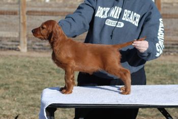 Purple girl at 8 wks.
