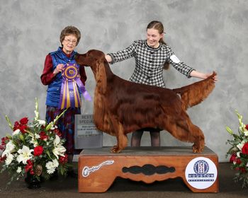 Archie winning his second specialty in Conroe, TX.
