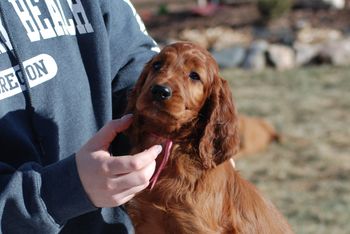 Pink girl at 8 wks.
