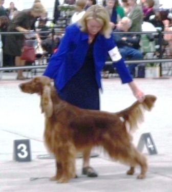 This is Kaige and I in the show ring at the specialties in New Jersey in Jan. 2009.
