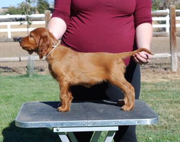 White girl at 7 weeks.
