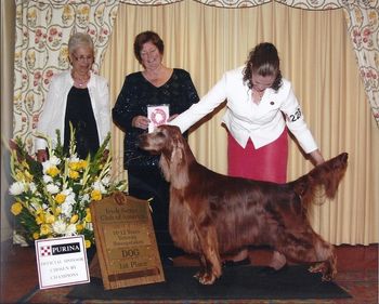 Bagger and Melissa at the 2012 National. Bagger won the class of 12 - he is ten years old here. Not bad for "an old guy" huh!!! He had so much fun and just loves to show. Thanks Melissa for doing such a great job with him!!
