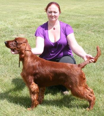 "Joss" Galewinns Tramore Graced by Winds of Change Owner: Autumn Brock Idaho Joss is pictured at his first show! Congrats Autumn in getting Joss into the ring - he looks absolutely wonderful!
