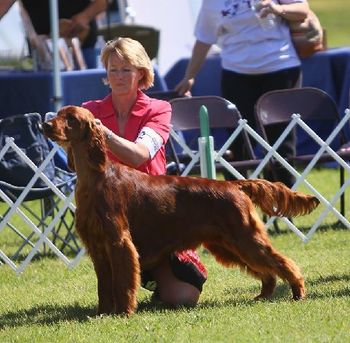 Bode showing in Sweepstakes at the National. 13 months old. June 2010
