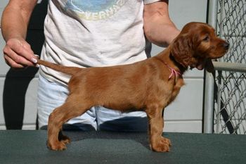 Pink Girl First stack at 6 weeks
