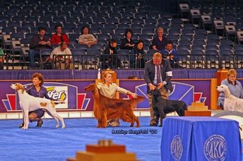 In the Bred-By group and Eukanuba. Photo courtesy of Bettina Bienefeld.
