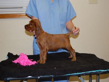 Pink girl at 6 weeks.
