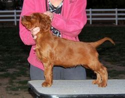 Tank at 6 weeks old. May 2012
