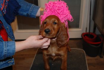 Pink girl at 9 weeks old.
