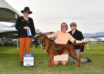 Natty winning her second major at 6 months old - second day in the ring!
