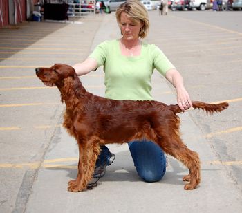 Rio went with us to the show this weekend to get some training and socialization. We are still training on the stack!
