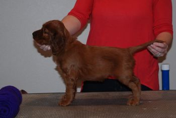 Dark purple girl at 6 weeks old.
