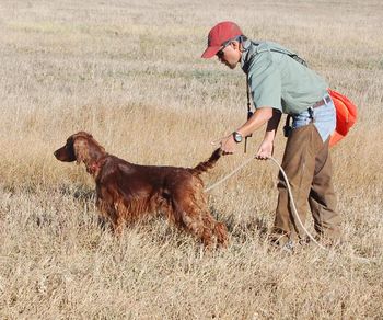 Ben & Journey training together.
