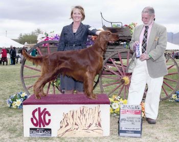 PJ wins her second major and finishes her championship at 16 months old. Scottsdale, Arizona Feb. 2015
