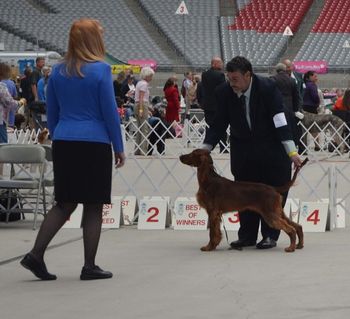 Wynn standing for the judge.
