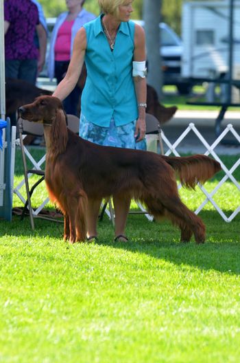 Tank in the ring at the Greeley show. Aug 2013
