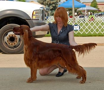 Rio at 2 years old. Thanks to Tiffany for stacking her for me!! Oct. 2011
